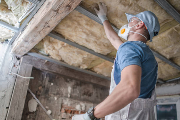 Best Insulation Contractor Near Me  in Blytheville, AR