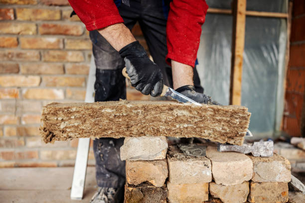Best Insulation Contractors for Homes  in Blytheville, AR